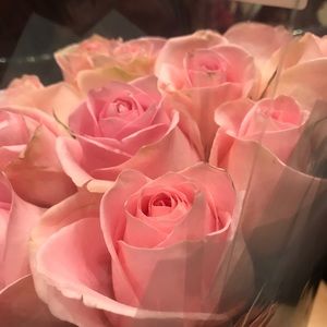 Meet your Posher, Priscilla